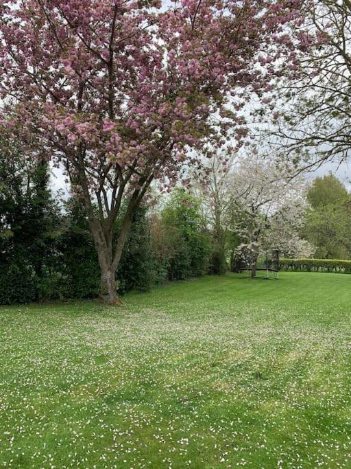 فيلا Le Nalousie Livry  المظهر الخارجي الصورة
