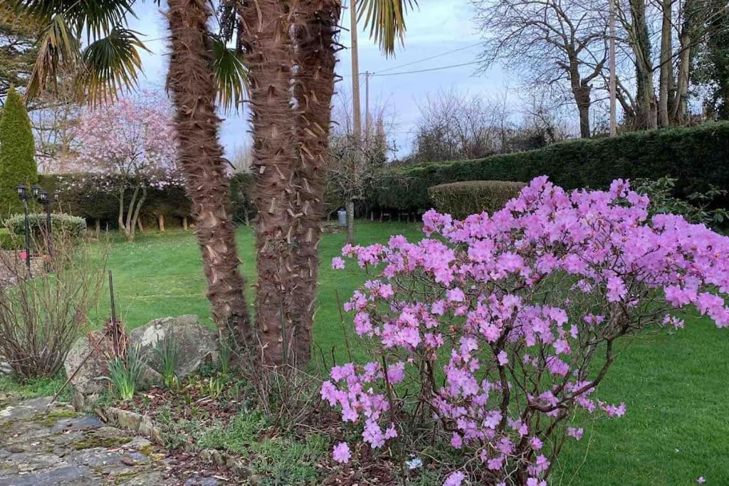 فيلا Le Nalousie Livry  المظهر الخارجي الصورة